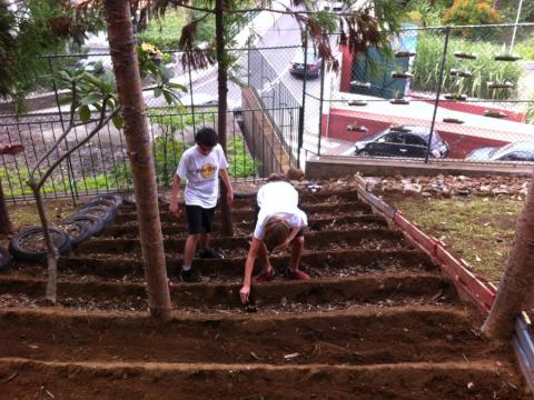 Plantação das batatas - Com a ajuda de alguns alunos voluntários plantamos as batatas - 